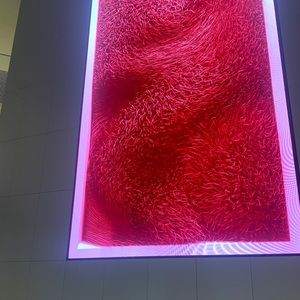 Meet your Posher, Ash